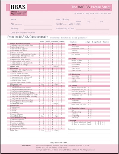 BBAS2017profsheet